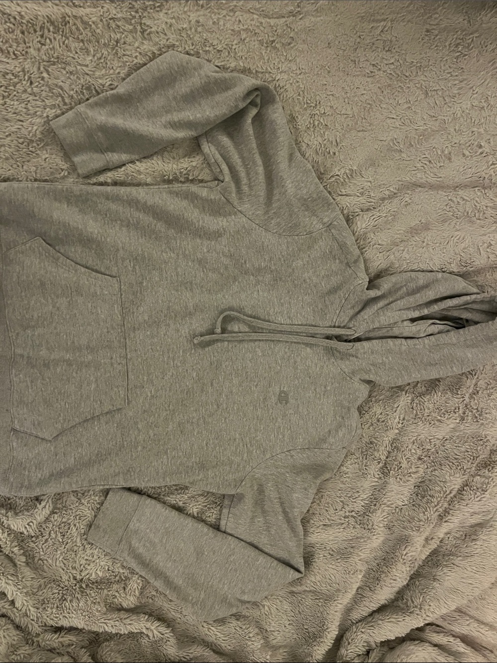 Champion Men's Gray Hoodie Sweatshirt
